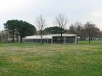 IMG_2585.jpg